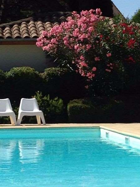 Les Pins Galants